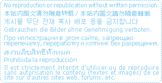 unauthorized replication prohibited.